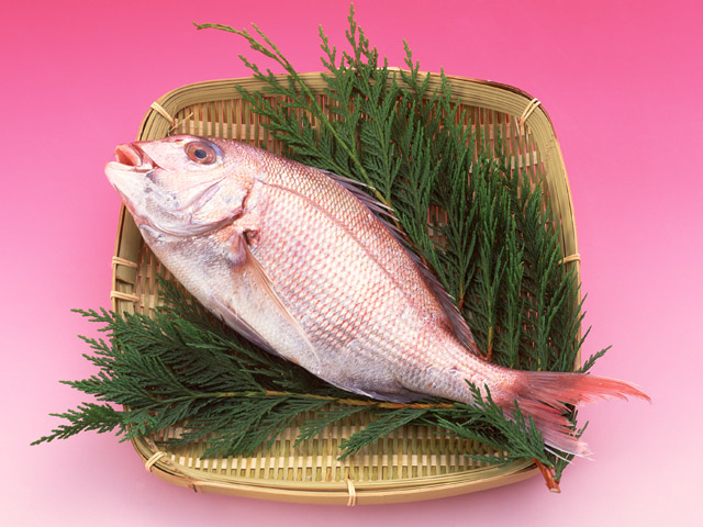旬の魚